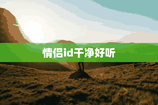 情侣id干净好听(情侣id干净好听的名字)